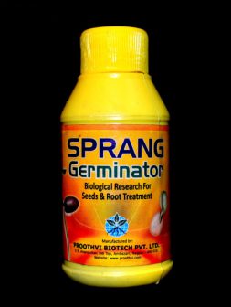 sprang-germinator1