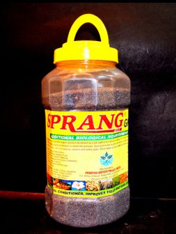 sprang-granules1